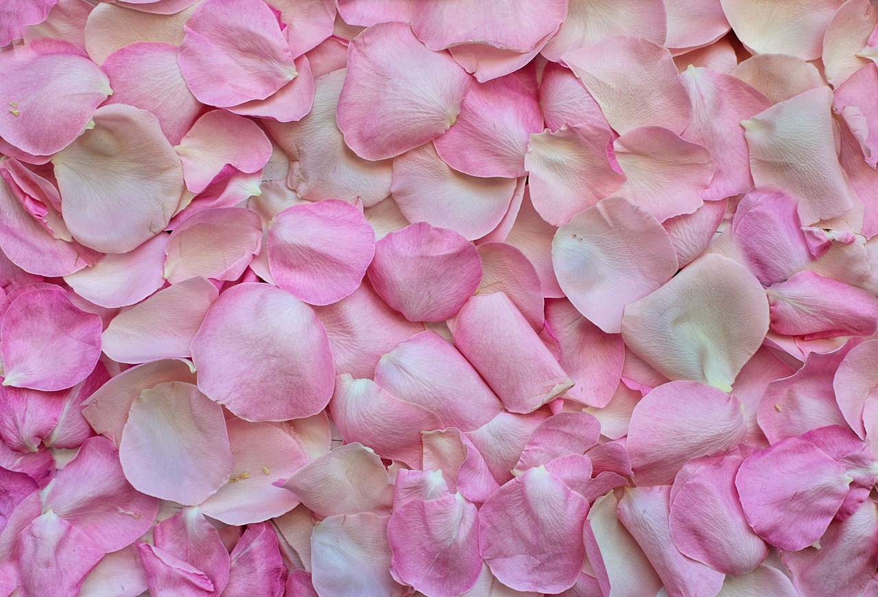 ¿Qué colores no usar en una boda de día?