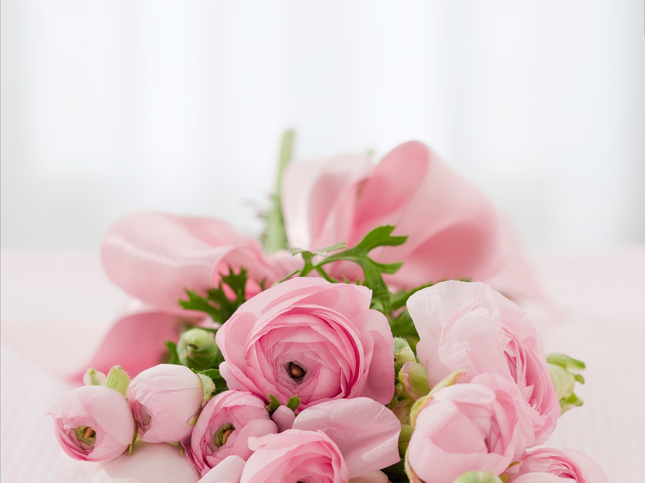 ¿Qué flores debe llevar el ramo de novia?