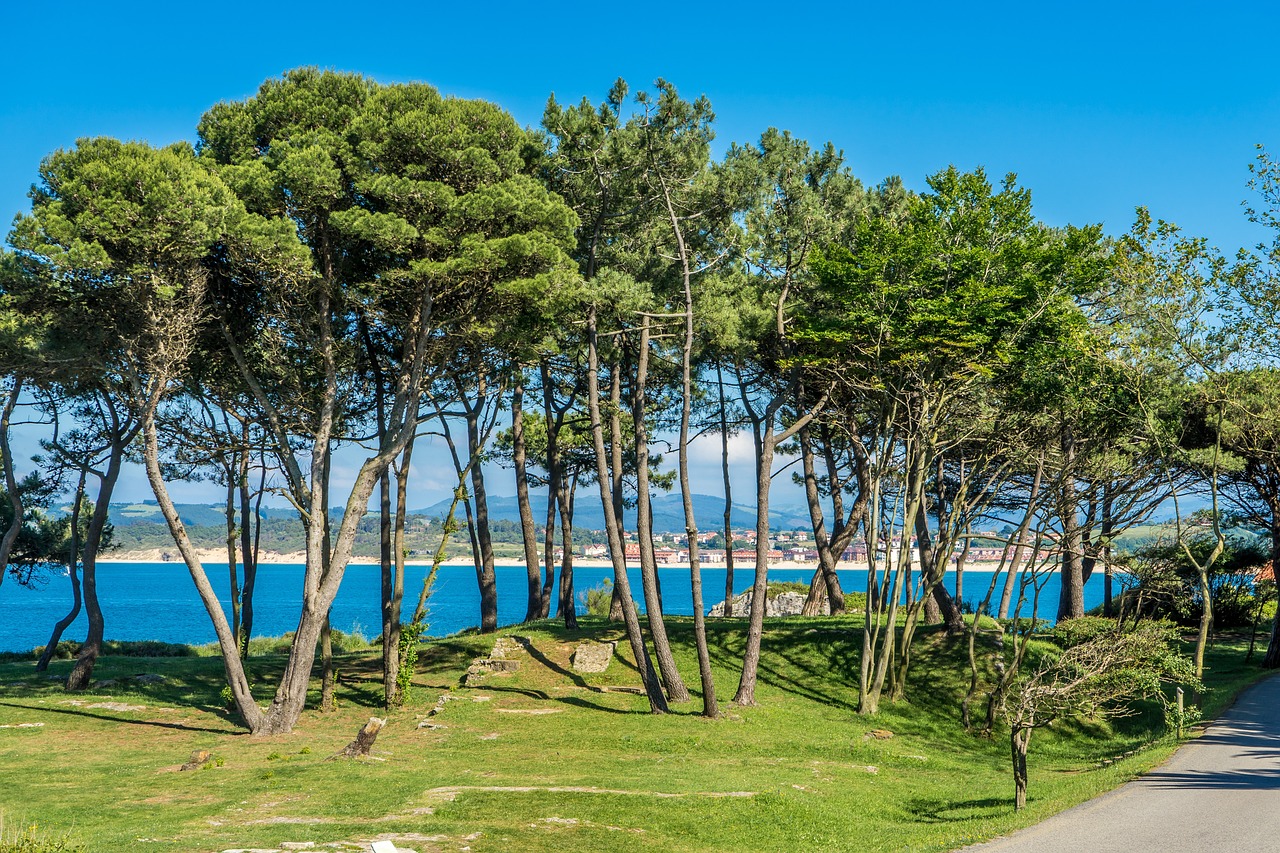 ¿Cuánto cuesta casarse en Santander?