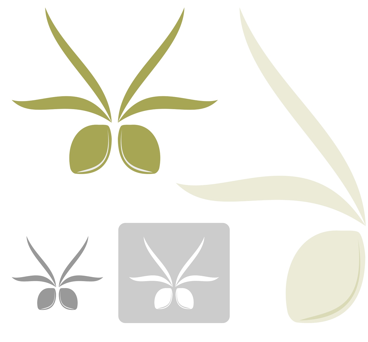 ¿Qué significado tiene las hojas de olivo?