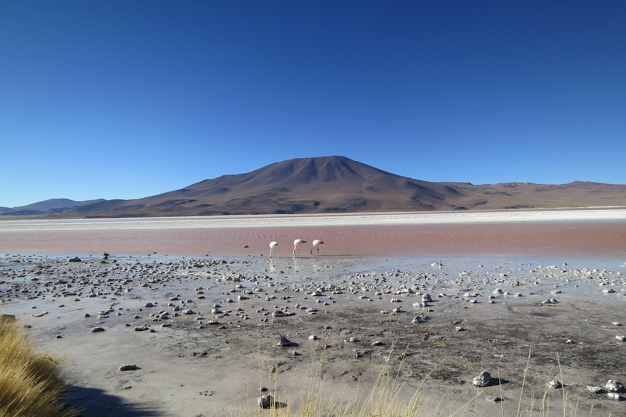 ¿Cómo se casan en Bolivia?