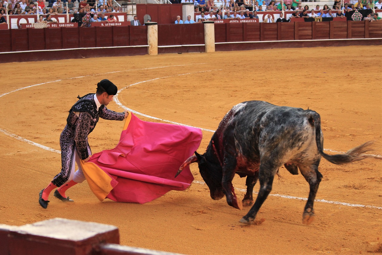 ¿Cuánto cuesta un traje de luces de torero?