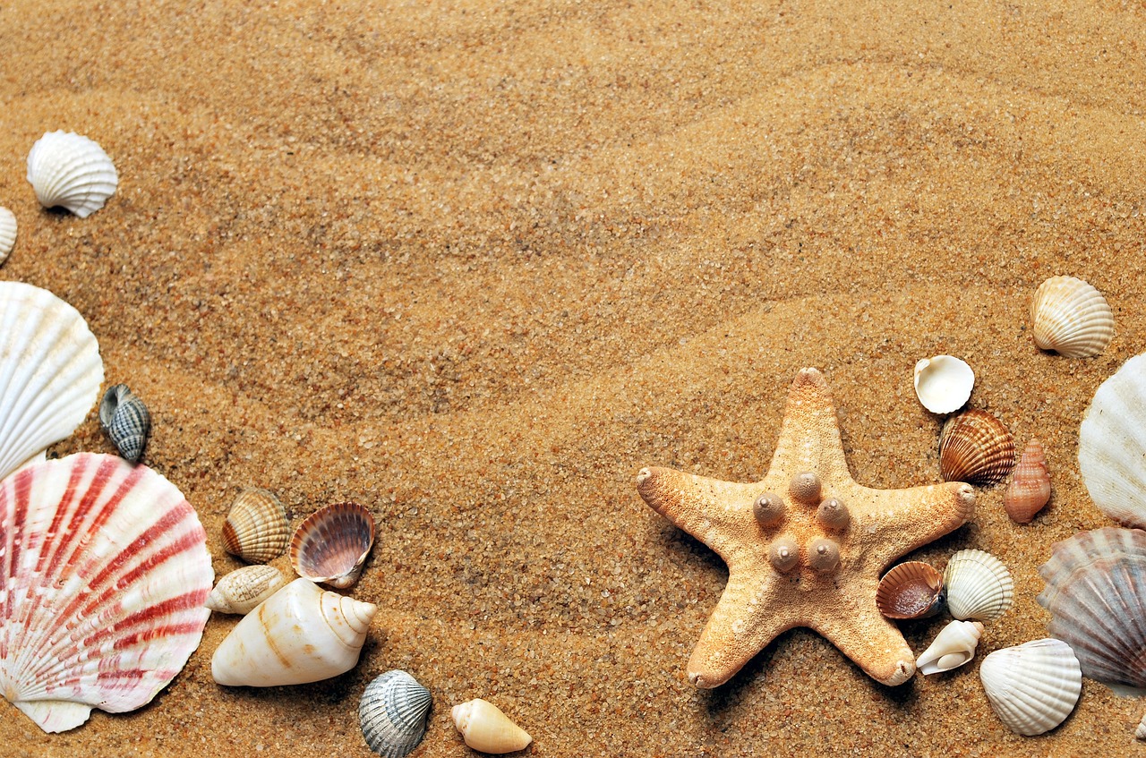 ¿Qué se necesita para una boda en la playa?