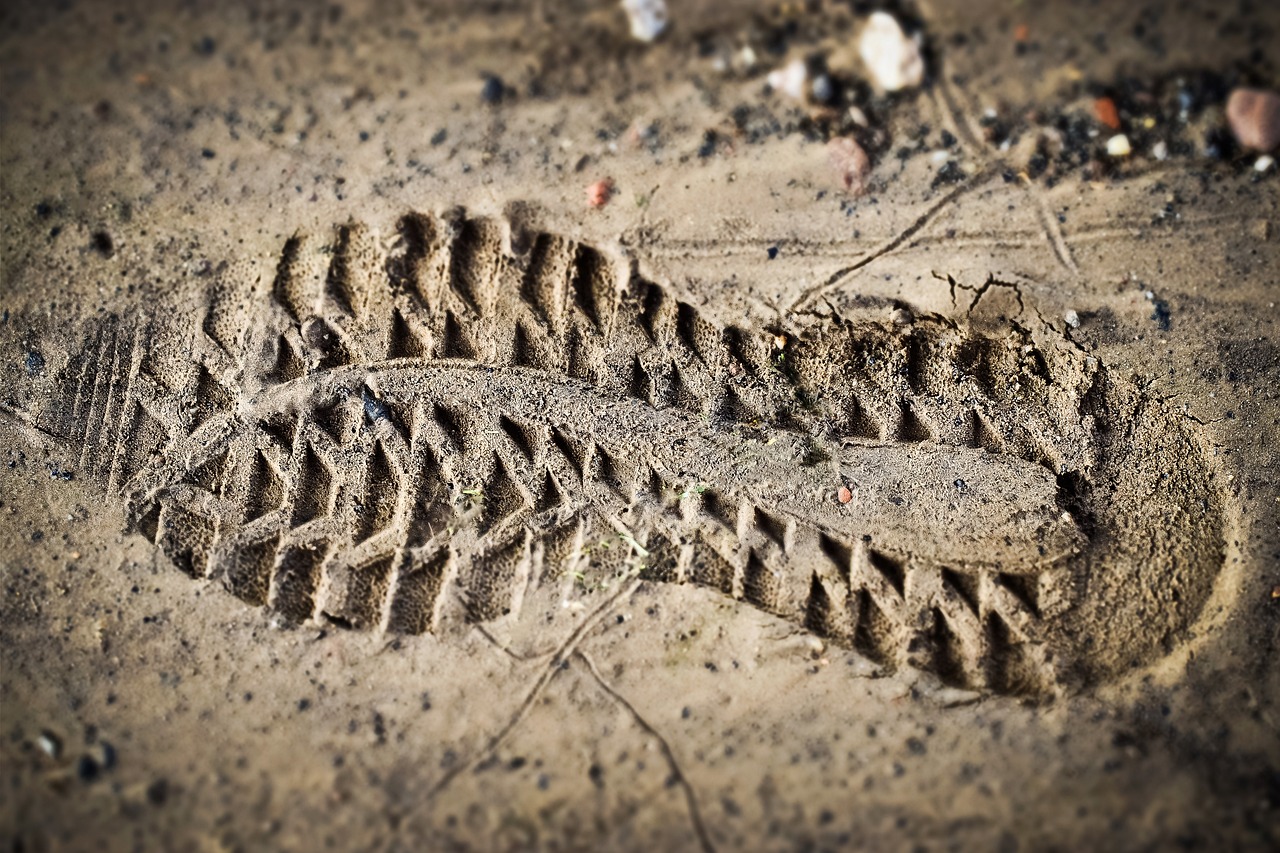 ¿Cómo se llama el zapato plano?