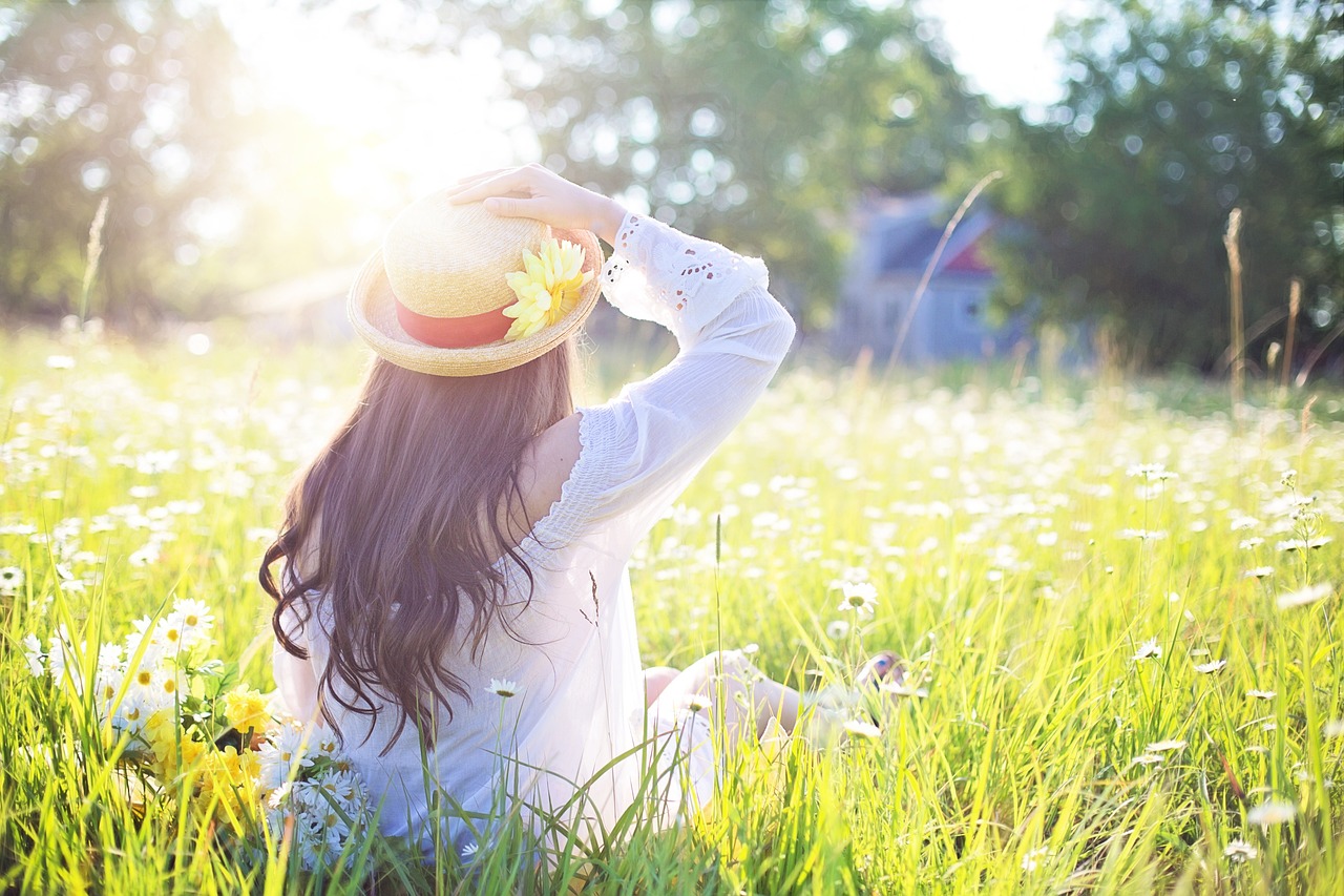 ¿Cuáles son las flores más baratas?