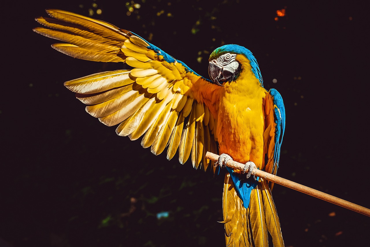 ¿Qué color le queda a un vestido amarillo?