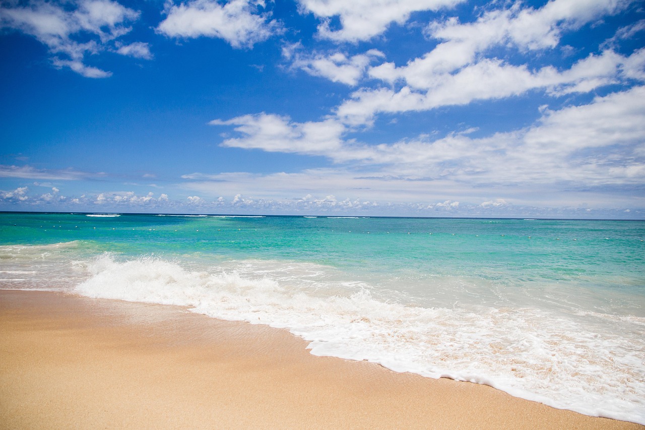 ¿Qué se usa para ir a la playa?