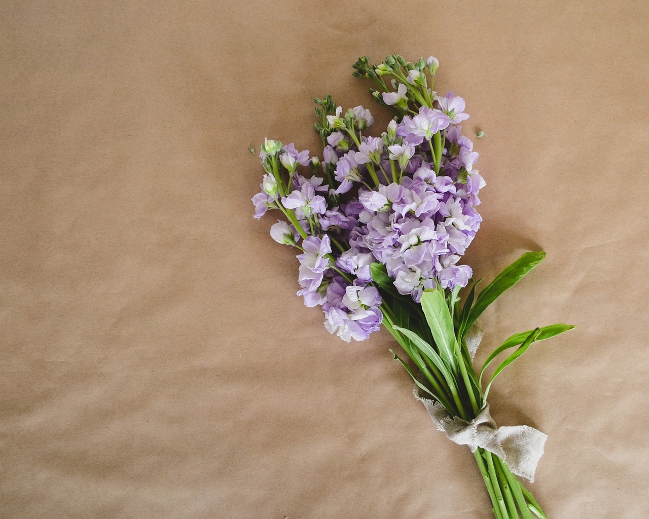 ¿Cómo hacer un plan de bodas?